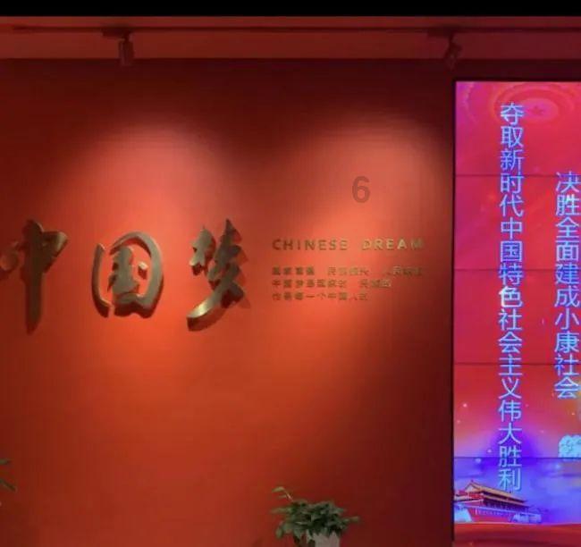 甘蔗是深根系还是浅根系作物?-专业的有问必答平台